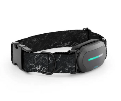 Collar GPS para perros