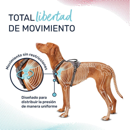 Arnés anti-tirones Wupi®