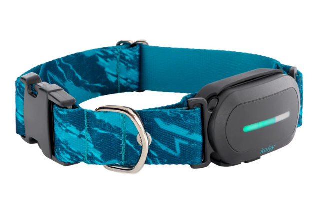 Collar GPS para perros