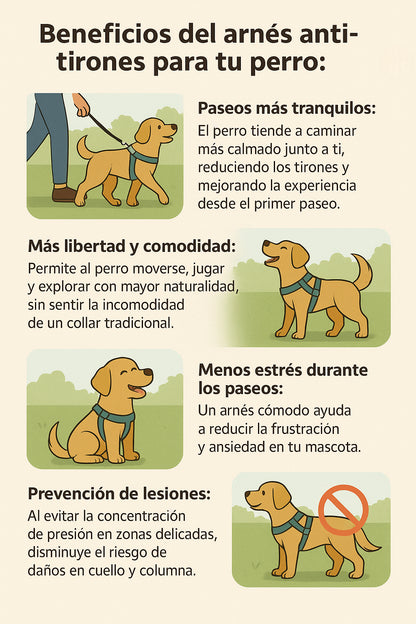 Arnés anti-tirones Wupi®