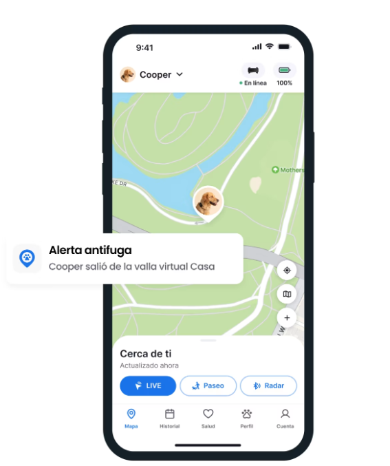 Collar GPS para perros