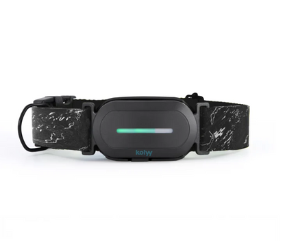 Collar GPS para perros